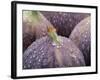 Fresh Figs with Drops of Water-Chris Schäfer-Framed Photographic Print