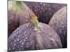 Fresh Figs with Drops of Water-Chris Schäfer-Mounted Photographic Print