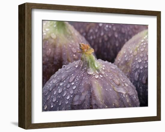 Fresh Figs with Drops of Water-Chris Schäfer-Framed Photographic Print