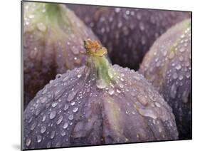 Fresh Figs with Drops of Water-Chris Schäfer-Mounted Photographic Print
