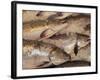 Fresh Fish at Pike Place Market, Seattle, Washington, USA-Merrill Images-Framed Photographic Print