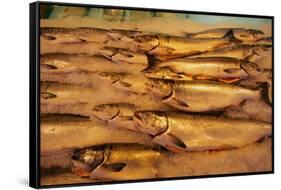 Fresh Fish at Pike Place Market-null-Framed Stretched Canvas