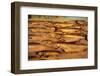 Fresh Fish at Pike Place Market-null-Framed Photographic Print