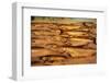Fresh Fish at Pike Place Market-null-Framed Photographic Print