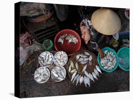 Fresh Fish at the City Market, Da Nang, Vietnam, Indochina, Southeast Asia-Andrew Mcconnell-Stretched Canvas