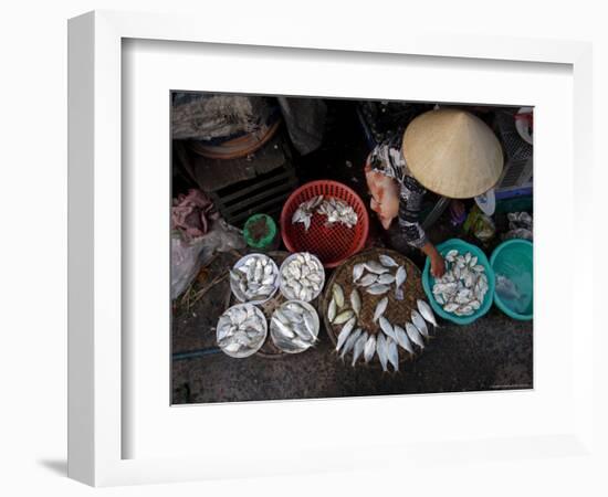 Fresh Fish at the City Market, Da Nang, Vietnam, Indochina, Southeast Asia-Andrew Mcconnell-Framed Photographic Print