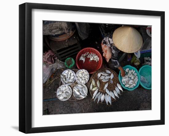 Fresh Fish at the City Market, Da Nang, Vietnam, Indochina, Southeast Asia-Andrew Mcconnell-Framed Photographic Print