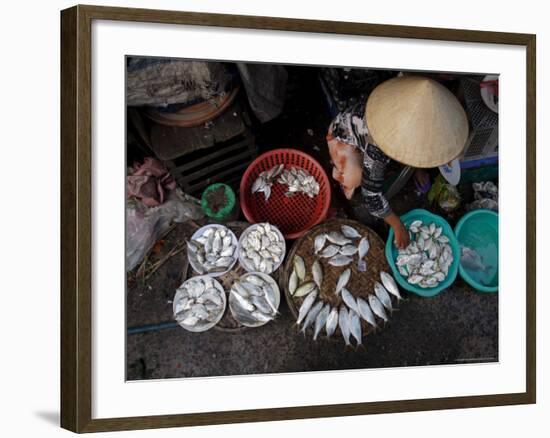 Fresh Fish at the City Market, Da Nang, Vietnam, Indochina, Southeast Asia-Andrew Mcconnell-Framed Photographic Print