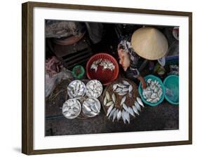 Fresh Fish at the City Market, Da Nang, Vietnam, Indochina, Southeast Asia-Andrew Mcconnell-Framed Photographic Print