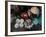 Fresh Fish at the City Market, Da Nang, Vietnam, Indochina, Southeast Asia-Andrew Mcconnell-Framed Photographic Print