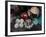 Fresh Fish at the City Market, Da Nang, Vietnam, Indochina, Southeast Asia-Andrew Mcconnell-Framed Photographic Print