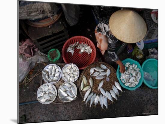 Fresh Fish at the City Market, Da Nang, Vietnam, Indochina, Southeast Asia-Andrew Mcconnell-Mounted Photographic Print