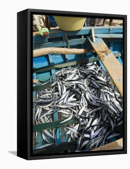 Fresh Fish Just Caught, Tarrafal, Santiago, Cape Verde Islands, Africa-R H Productions-Framed Stretched Canvas