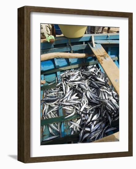Fresh Fish Just Caught, Tarrafal, Santiago, Cape Verde Islands, Africa-R H Productions-Framed Photographic Print