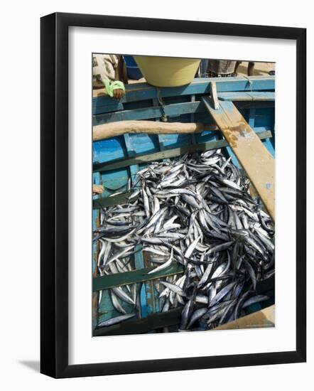 Fresh Fish Just Caught, Tarrafal, Santiago, Cape Verde Islands, Africa-R H Productions-Framed Photographic Print