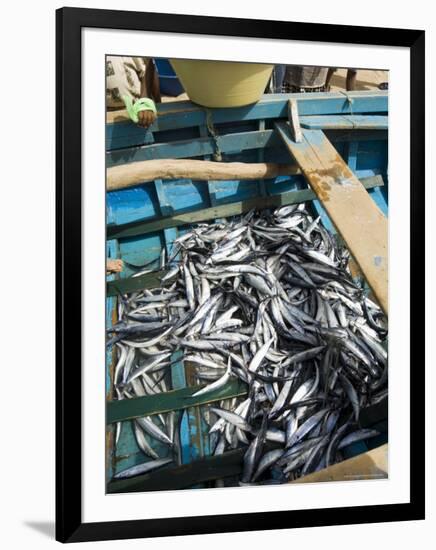 Fresh Fish Just Caught, Tarrafal, Santiago, Cape Verde Islands, Africa-R H Productions-Framed Photographic Print