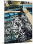 Fresh Fish Just Caught, Tarrafal, Santiago, Cape Verde Islands, Africa-R H Productions-Mounted Photographic Print