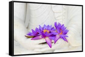 Fresh Flue Star Water Lily or Star Lotus Flowers in Buddha Image Hands-Iryna Rasko-Framed Stretched Canvas