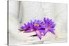 Fresh Flue Star Water Lily or Star Lotus Flowers in Buddha Image Hands-Iryna Rasko-Stretched Canvas