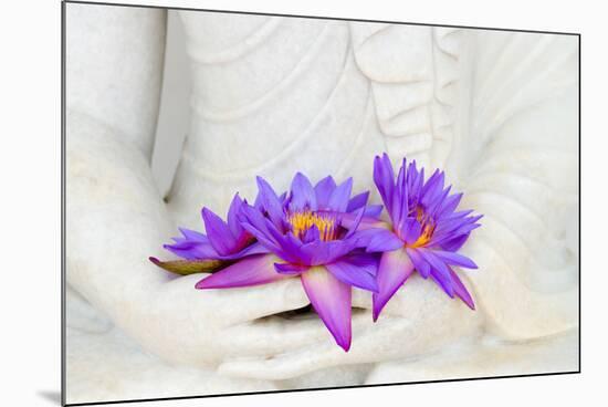 Fresh Flue Star Water Lily or Star Lotus Flowers in Buddha Image Hands-Iryna Rasko-Mounted Photographic Print