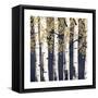 Fresh Forest Indigo II-James Wiens-Framed Stretched Canvas