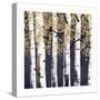 Fresh Forest Indigo II-James Wiens-Stretched Canvas