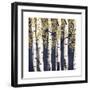 Fresh Forest Indigo II-James Wiens-Framed Art Print