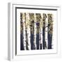 Fresh Forest Indigo II-James Wiens-Framed Art Print