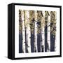 Fresh Forest Indigo II-James Wiens-Framed Stretched Canvas