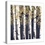 Fresh Forest Indigo II-James Wiens-Stretched Canvas