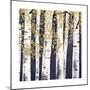 Fresh Forest Indigo III-James Wiens-Mounted Art Print