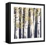 Fresh Forest Indigo III-James Wiens-Framed Stretched Canvas