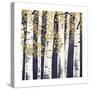 Fresh Forest Indigo III-James Wiens-Stretched Canvas