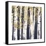 Fresh Forest Indigo III-James Wiens-Framed Stretched Canvas