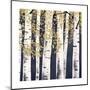 Fresh Forest Indigo III-James Wiens-Mounted Art Print