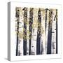 Fresh Forest Indigo III-James Wiens-Stretched Canvas