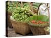 Fresh Fruit and Vegetable Market, Khon Kaen, Isan, Thailand-Gavriel Jecan-Stretched Canvas