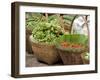 Fresh Fruit and Vegetable Market, Khon Kaen, Isan, Thailand-Gavriel Jecan-Framed Photographic Print