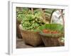 Fresh Fruit and Vegetable Market, Khon Kaen, Isan, Thailand-Gavriel Jecan-Framed Photographic Print