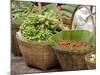 Fresh Fruit and Vegetable Market, Khon Kaen, Isan, Thailand-Gavriel Jecan-Mounted Photographic Print