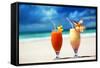 Fresh Fruit Juices on a Tropical Beach-Iakov Kalinin-Framed Stretched Canvas