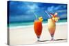 Fresh Fruit Juices on a Tropical Beach-Iakov Kalinin-Stretched Canvas