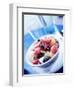 Fresh Fruit Salad in a Bowl-Yadid Levy-Framed Photographic Print