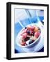 Fresh Fruit Salad in a Bowl-Yadid Levy-Framed Photographic Print