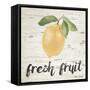 Fresh Fruit-Lanie Loreth-Framed Stretched Canvas