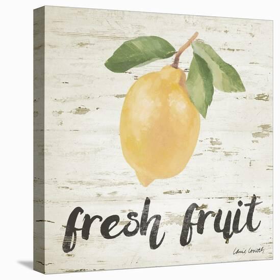 Fresh Fruit-Lanie Loreth-Stretched Canvas