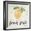 Fresh Fruit-Lanie Loreth-Framed Art Print