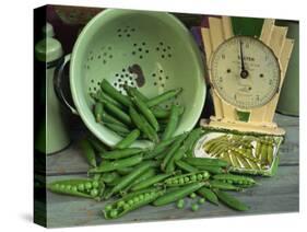Fresh Garden Peas in an Old Colander with Old Salter Scales and Seed Packet-Michelle Garrett-Stretched Canvas