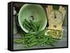 Fresh Garden Peas in an Old Colander with Old Salter Scales and Seed Packet-Michelle Garrett-Framed Stretched Canvas