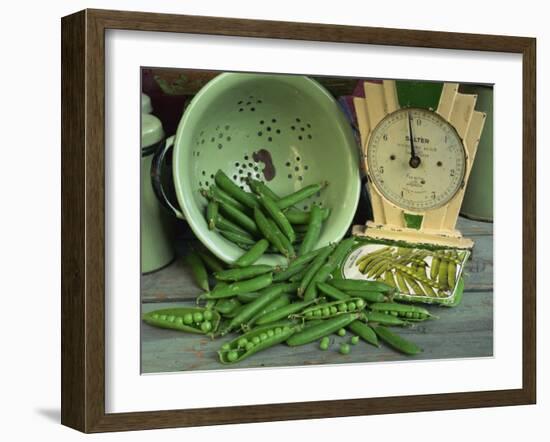 Fresh Garden Peas in an Old Colander with Old Salter Scales and Seed Packet-Michelle Garrett-Framed Photographic Print